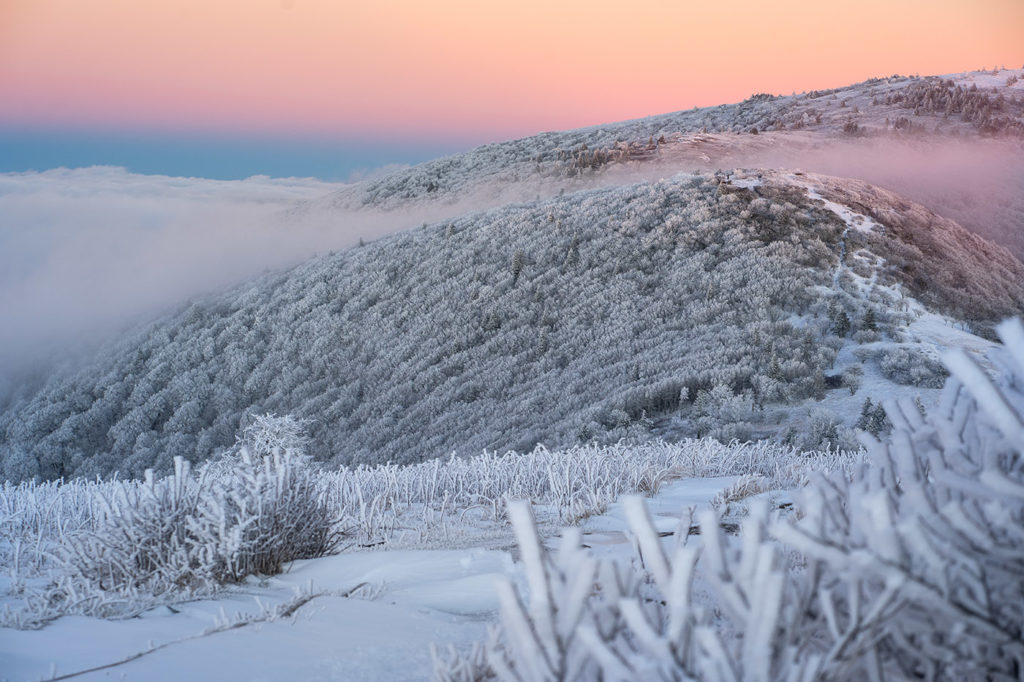 Roan Mountain in Winter