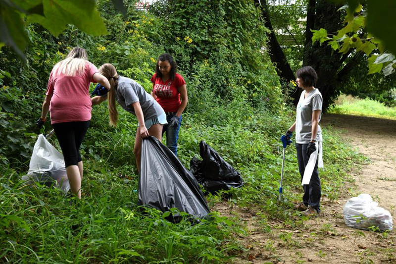 Forest Clean-up