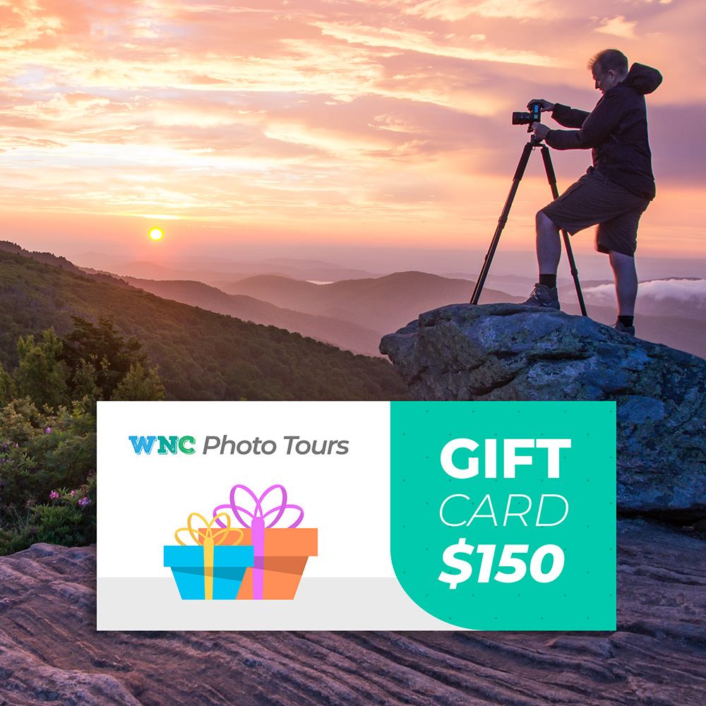 Photo Tour Gift Card