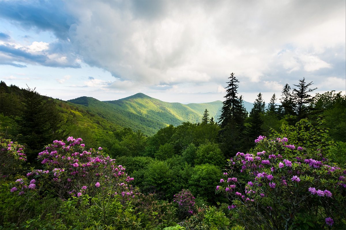 Blue Ridge Landscape Photography