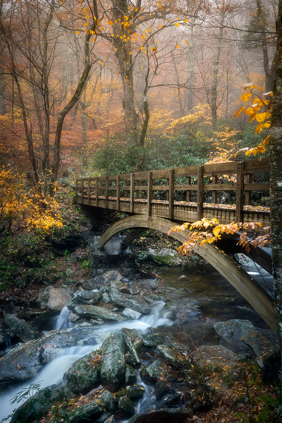 Autumn Colors Blue Ridge Parkway