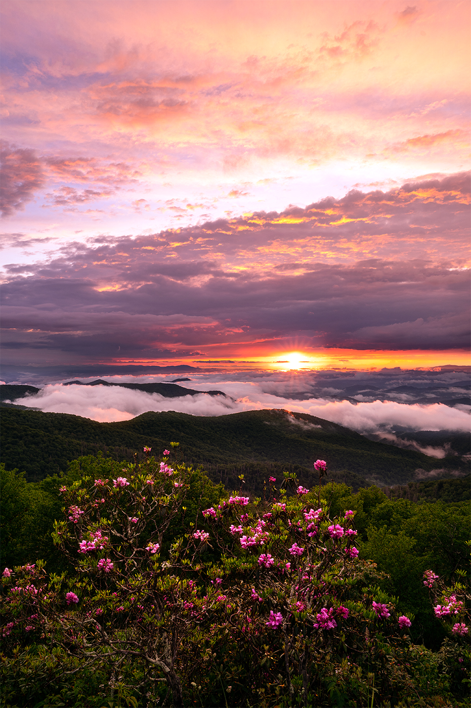 Asheville Landscape Photography