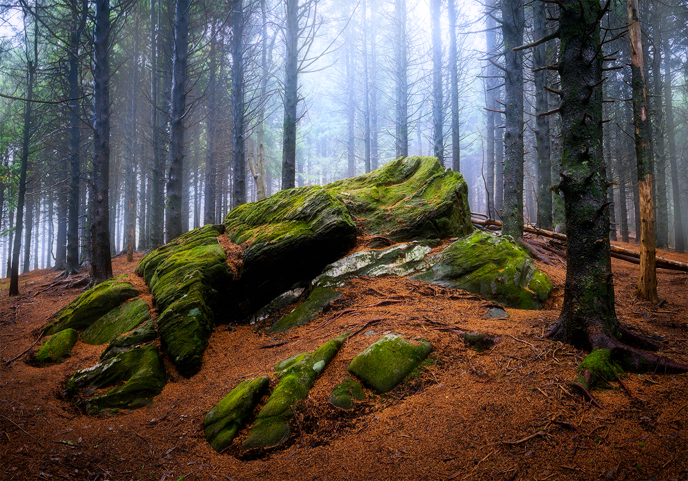 Blue Ridge Parkway Photography