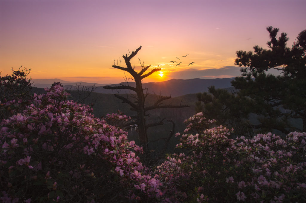 Linville Gorge Sunset