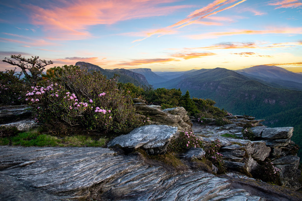 Linville Gorge Sunset Blooms