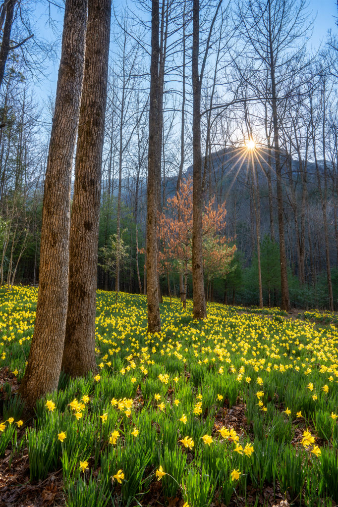 Daffodil Flats Linville Gorge Vertical