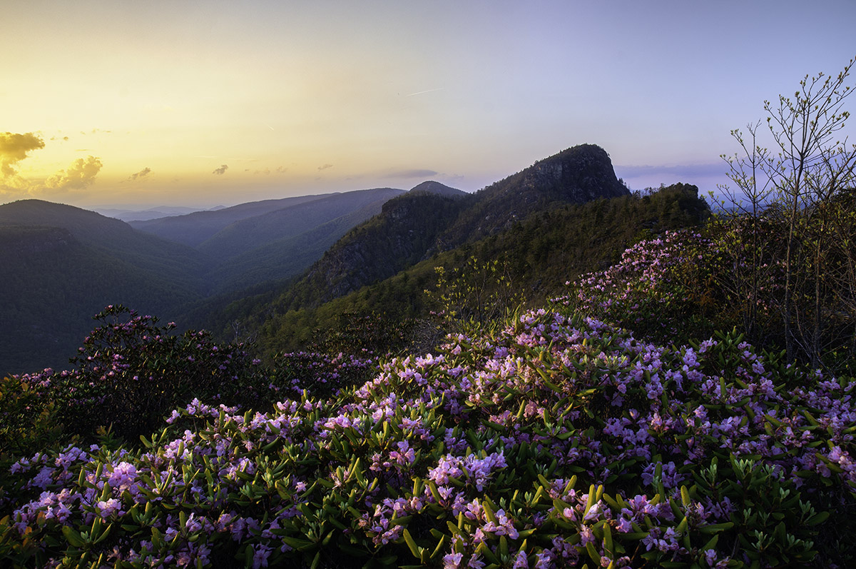 Linville Gorge Mini-Workshop