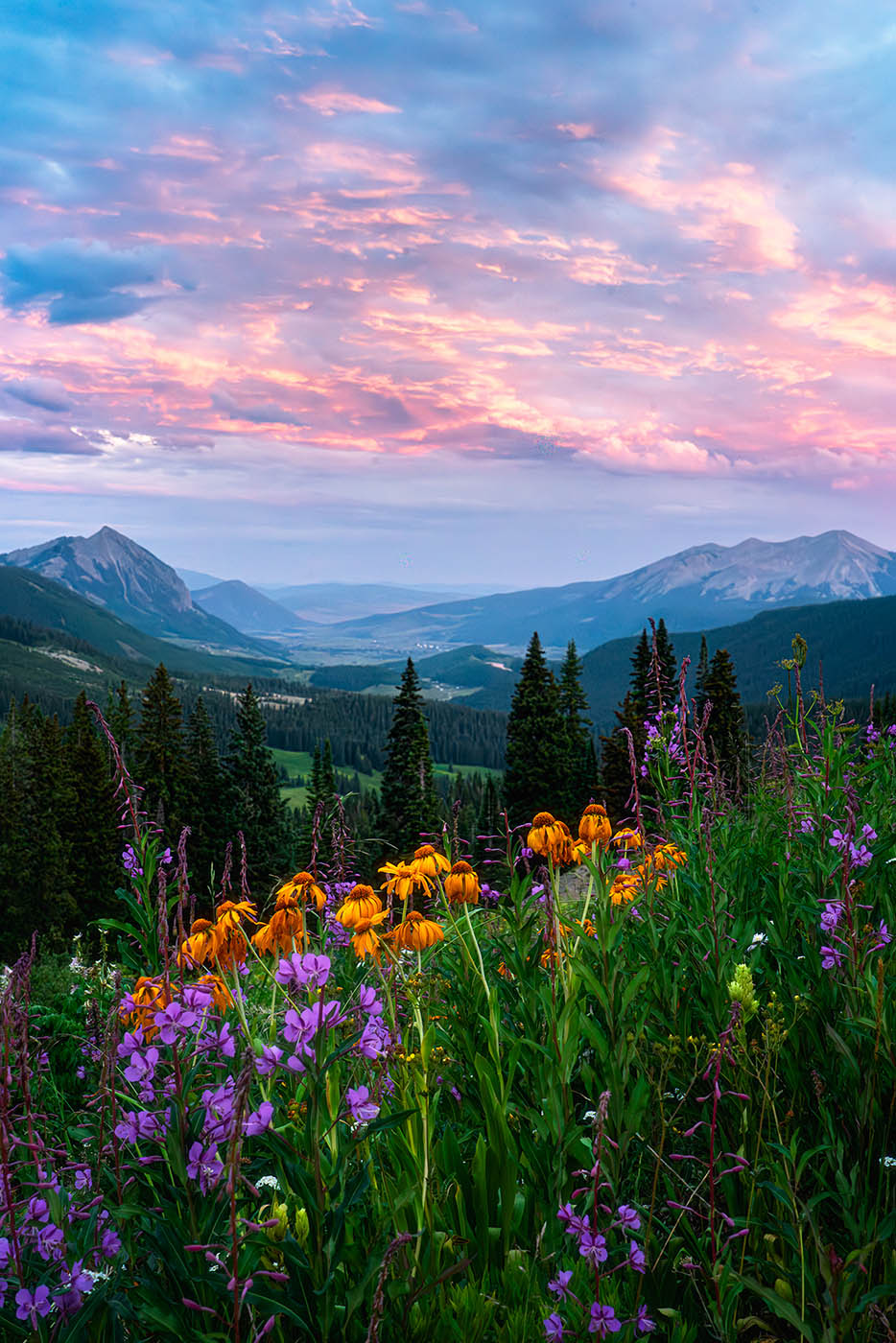 CB-wildflower-workshop Wildflowers and sunset in Crested Butte