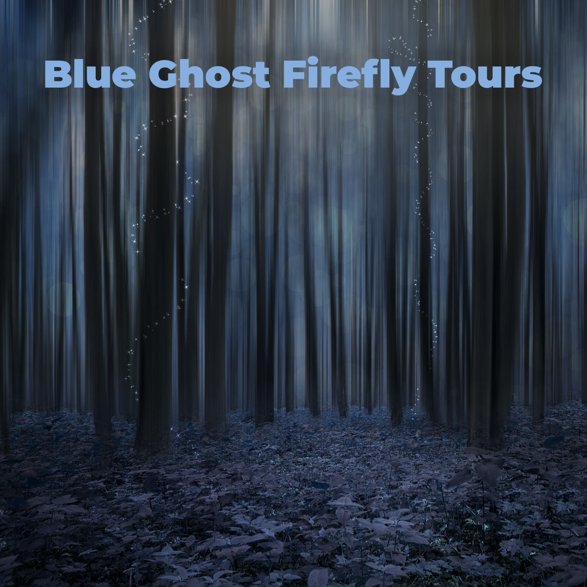 Blue Ghost Firefly Tours
