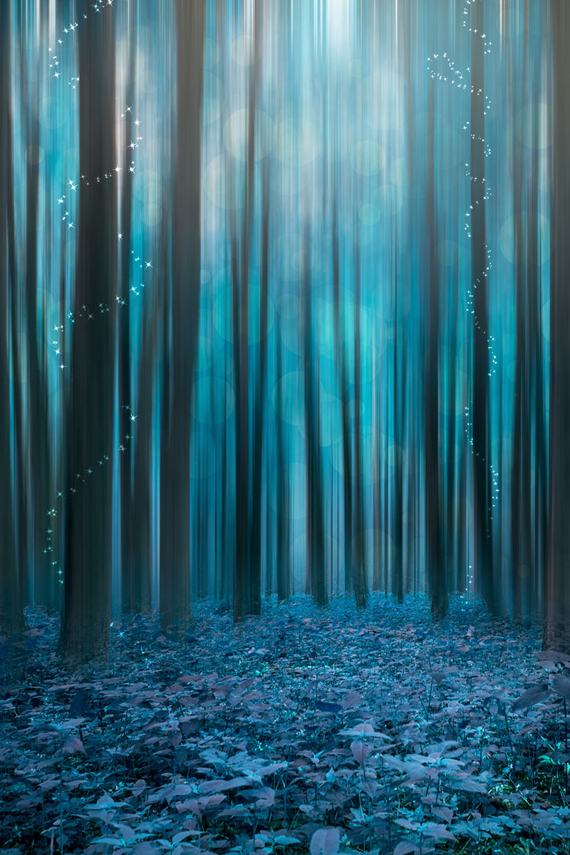 Blue Ghost Forest