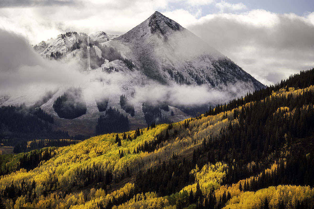 Colorado Fall Color Aspen Workshop