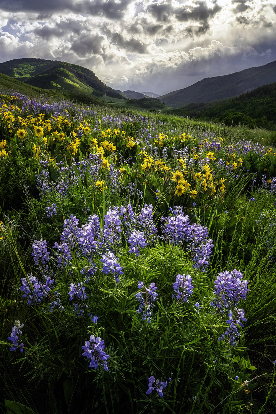 Crested Butte Workshop