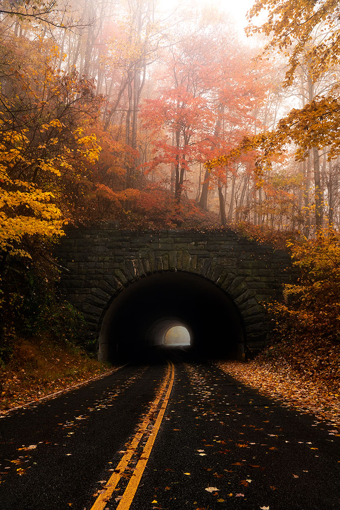 Fall Color Photo Tours