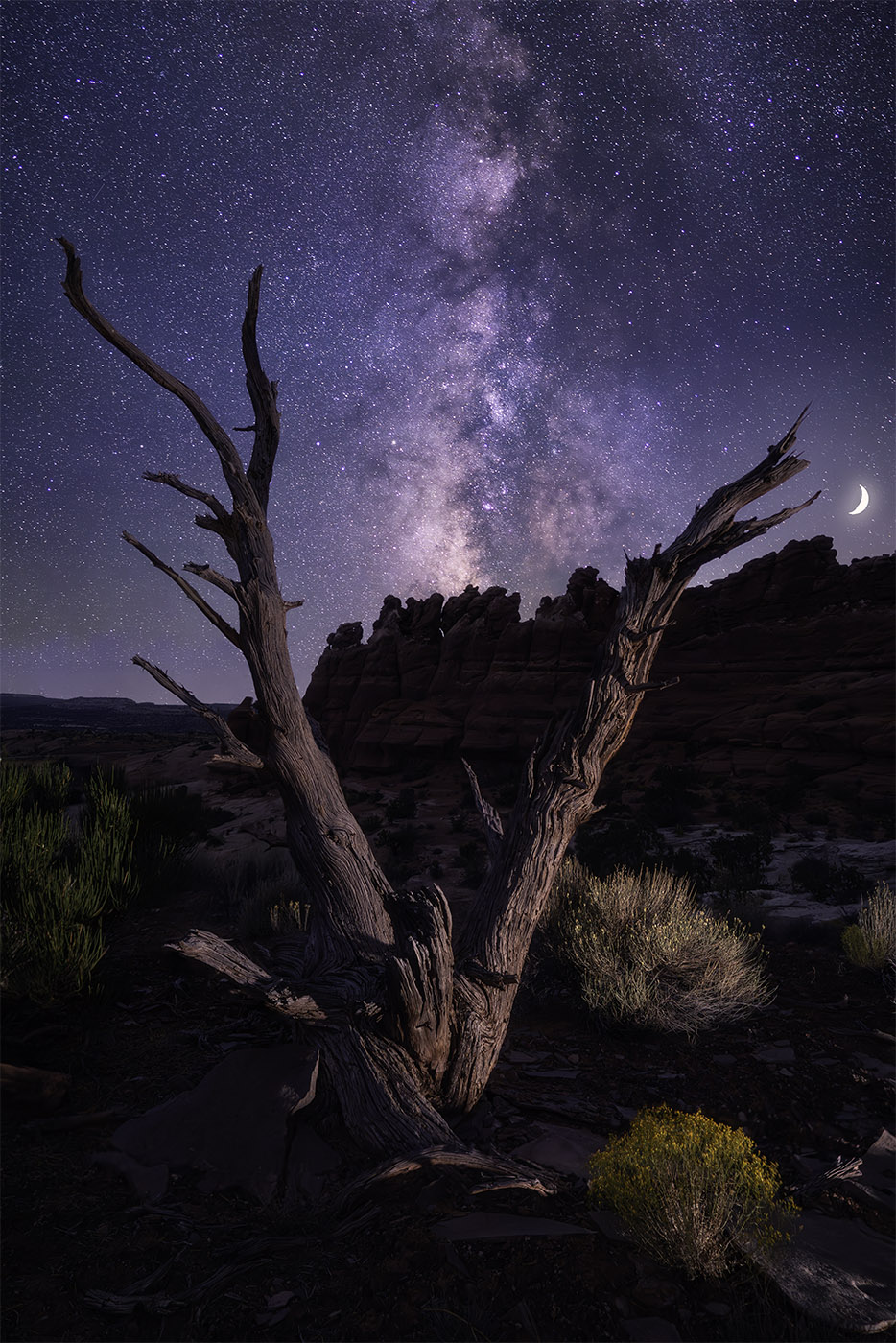 Moab Astrophotography Workshop 2024