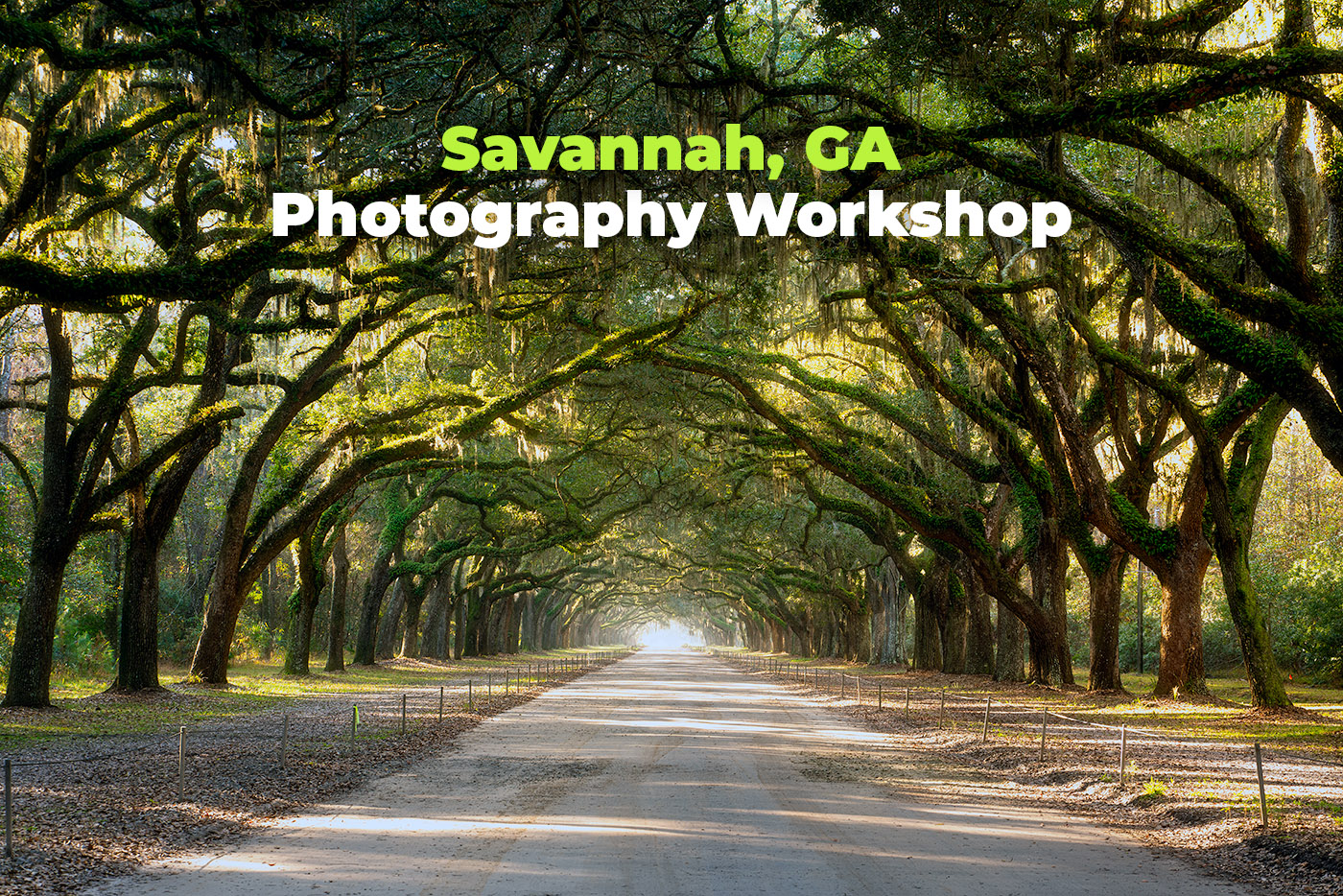 Savannah Workshop