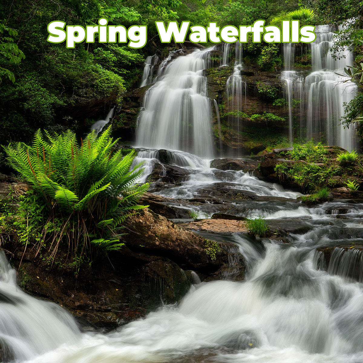 Spring Waterfall Workshop